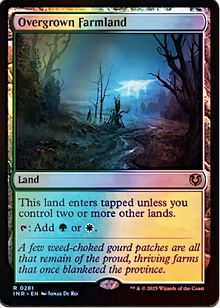 Overgrown Farmland